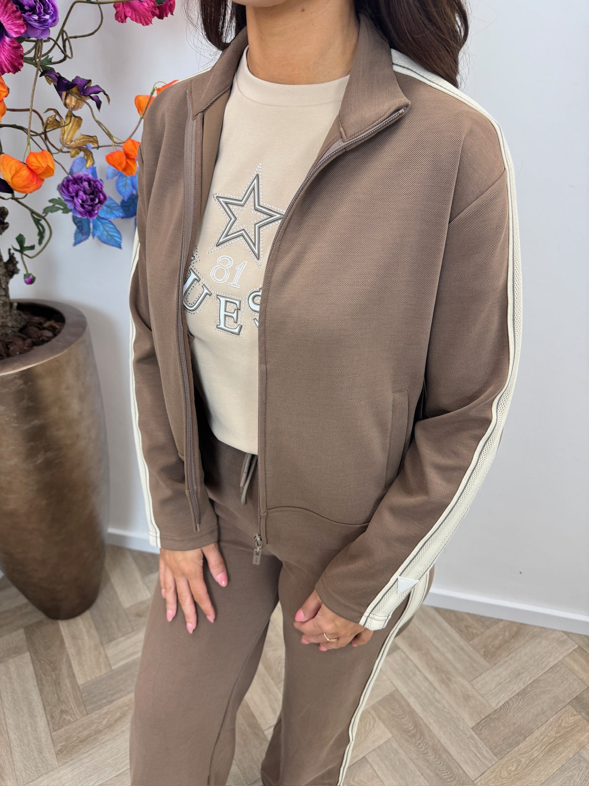 Jacket Merope Taupe Guess 1329