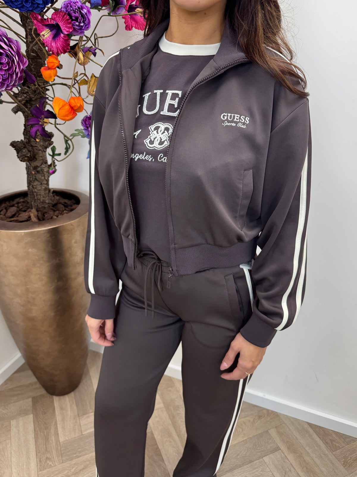 Jacket Hoshi Taupe Guess 1319