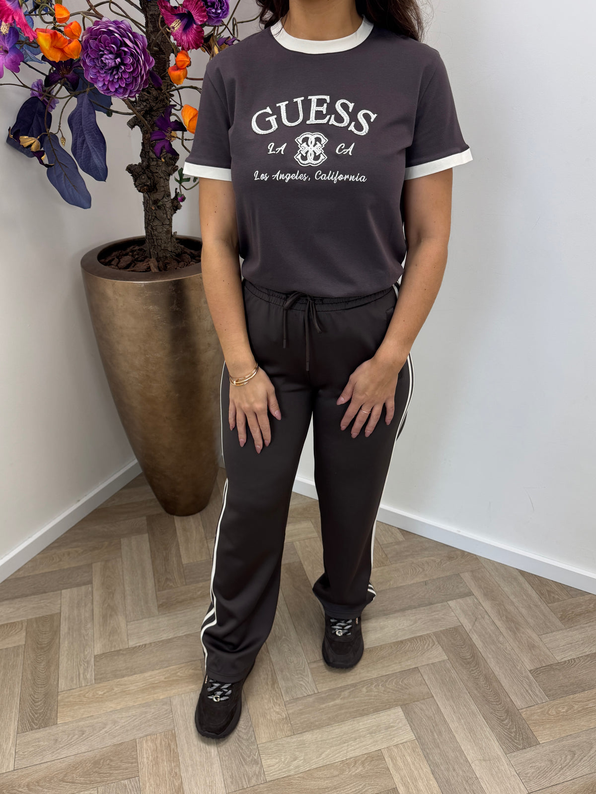 T-shirt Hoshi Taupe Guess 1318