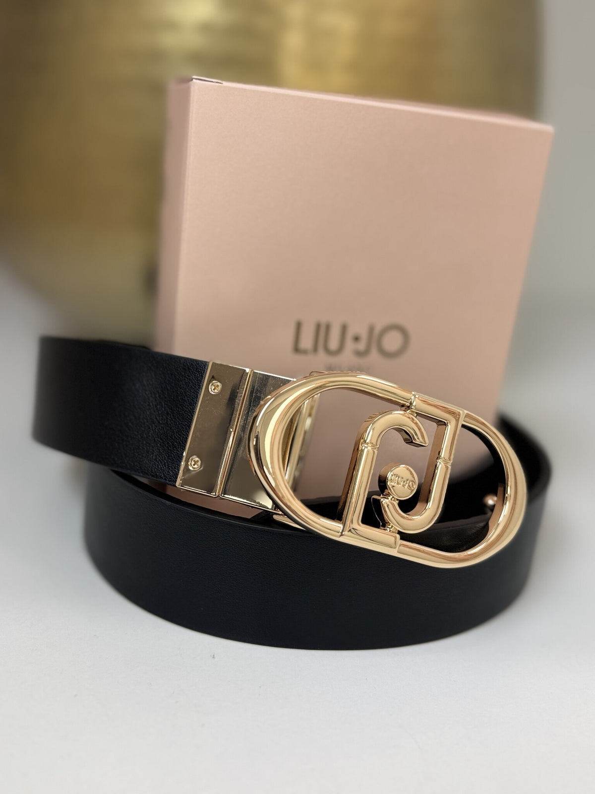 2 In 1 Belt Lapuffy Black/Brown Liu Jo 1988