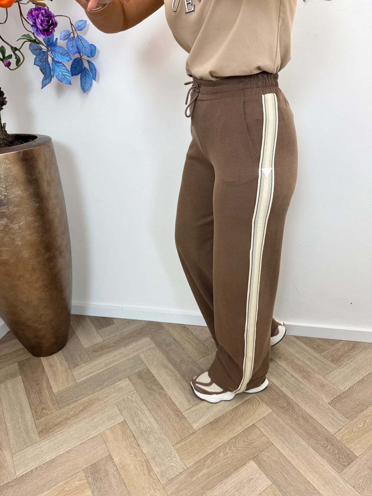 Pants Merope Taupe Guess 1330